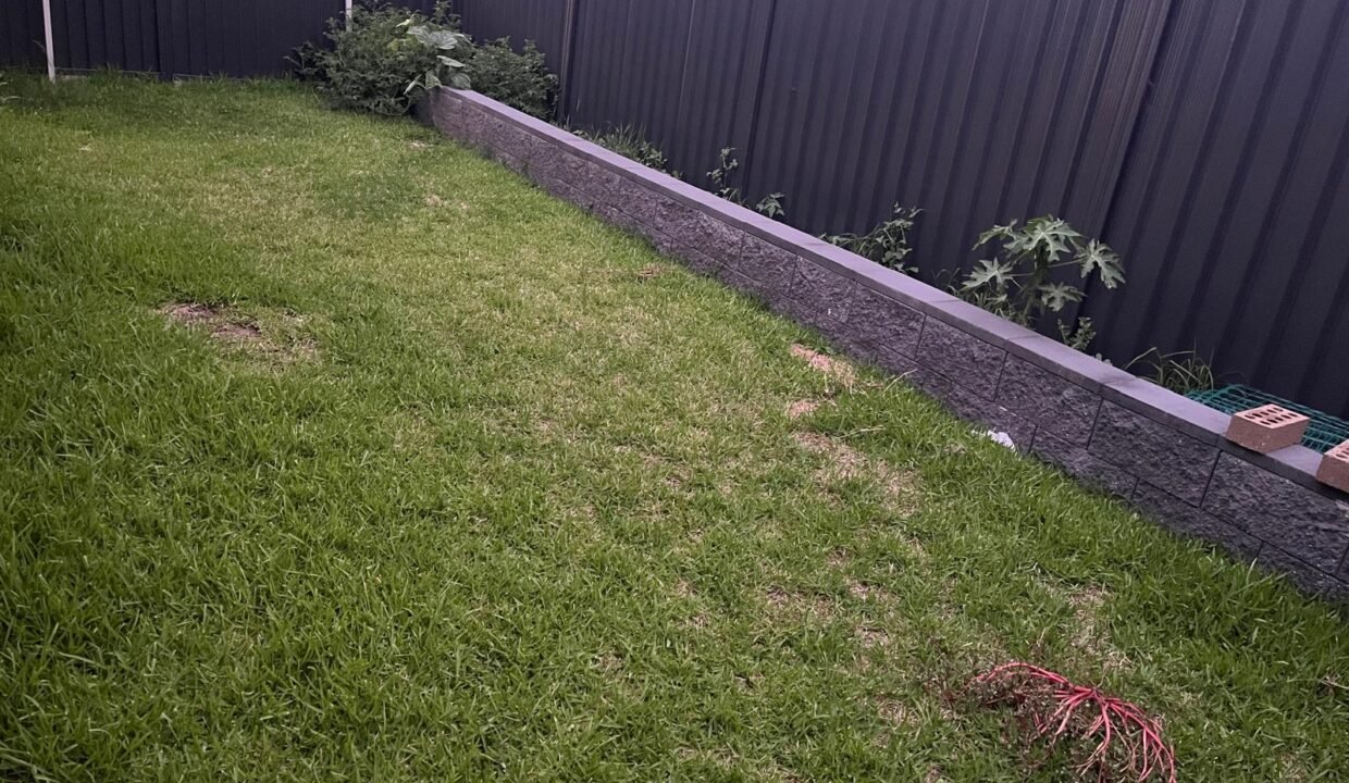 IMG-20250130-WA0009